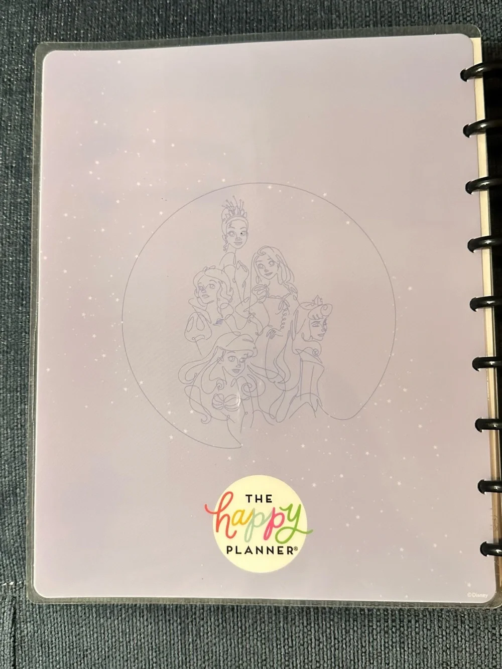 READ DESCRIPTION The Happy Planner Princess Guided Wellness Journal Classic Size